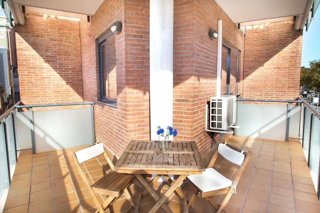 Contatti di New & Sunny Apartment